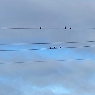 Four horizontal power lines against a partly cloudy sky. There are three small black birds on the top wire and three more on the third wire down.